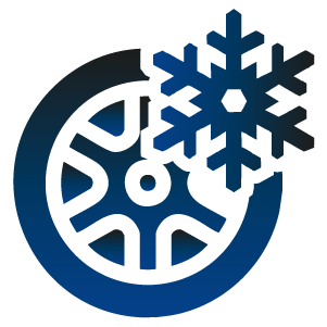 Icon Winterreifen