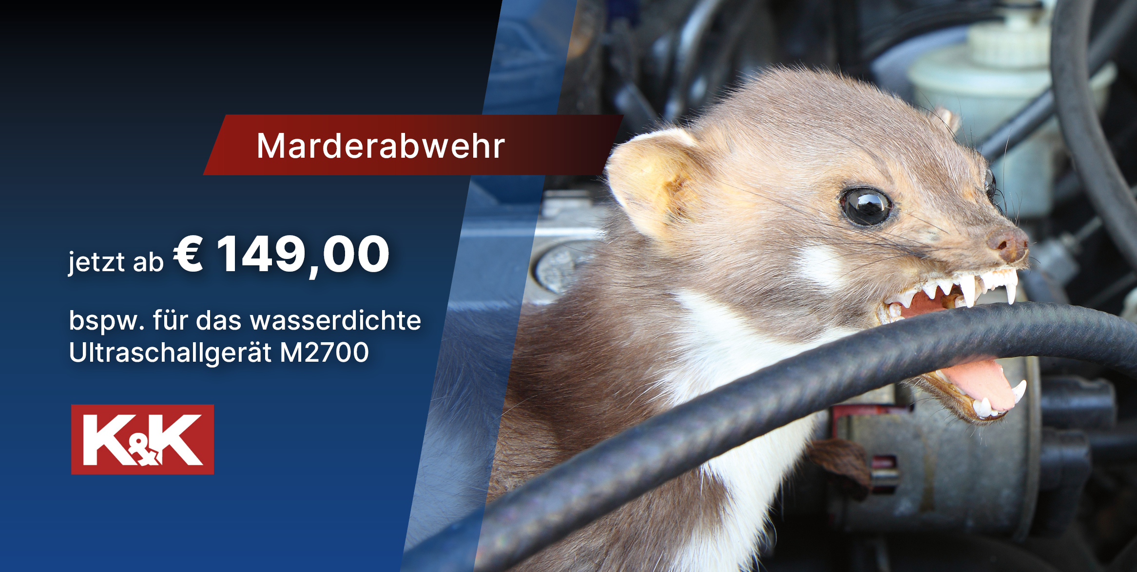 Marder Abwehr Service bei Autohaus Bunk